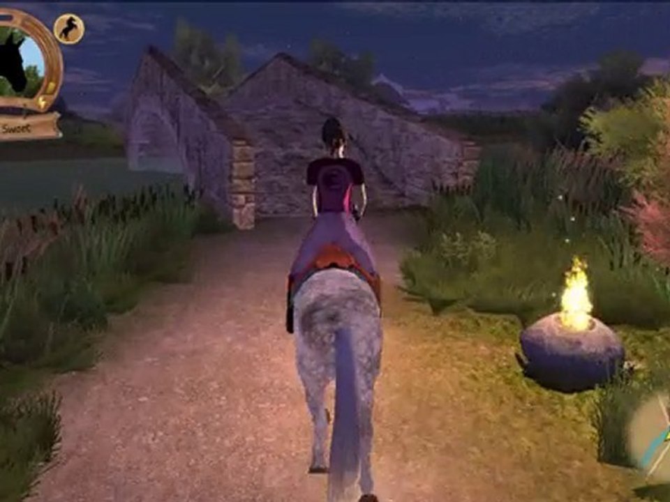 Horse Star - Night and day