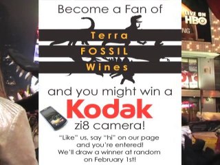 Win a Kodak Zi8 HD Camera from Terra Fossil!
