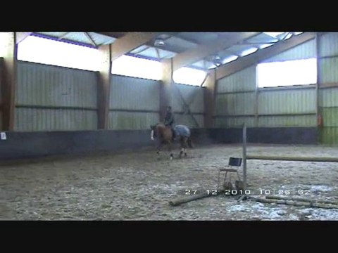 Travail d'hiver P.Pradier - Limier