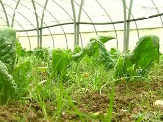 Agriculture: La filière Bio s'inquiète (Loire Atlantique)