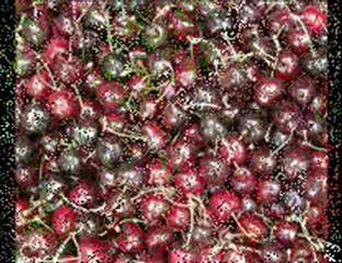 BEYAĞIL VE YÖRESİ RESİMLER-1--İRFAN VURAL