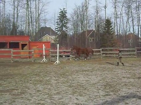 SAUT 5e trou avec mon gros Bb