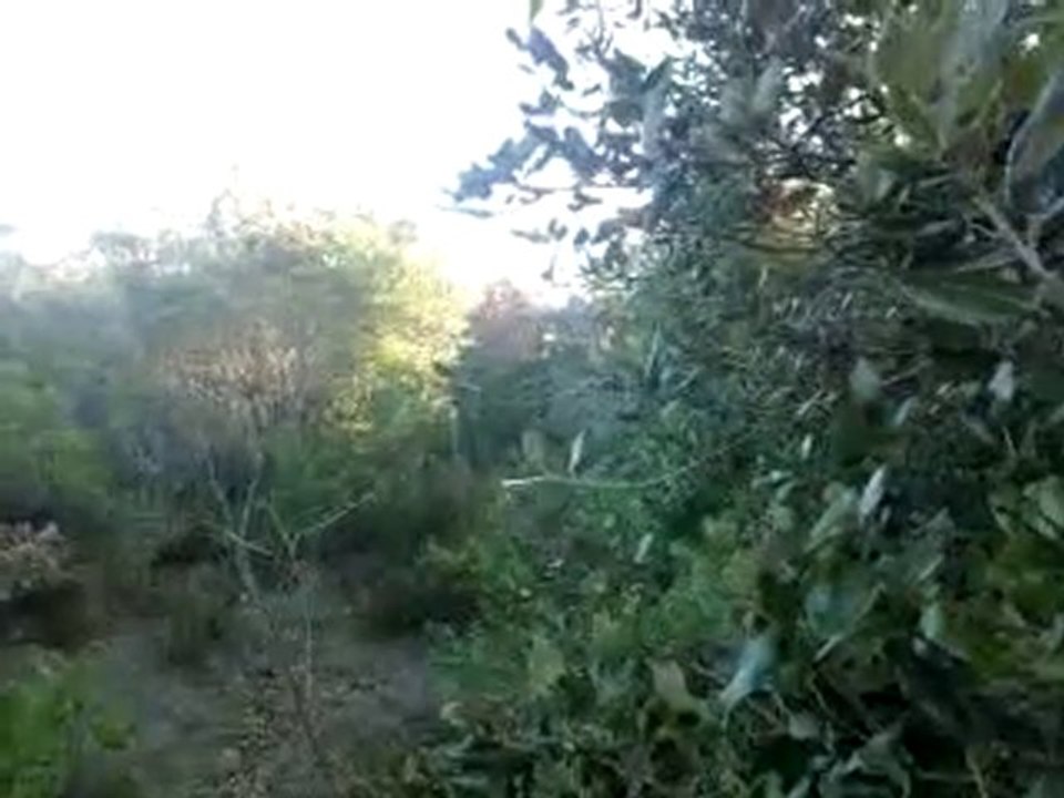 Vidéo0003