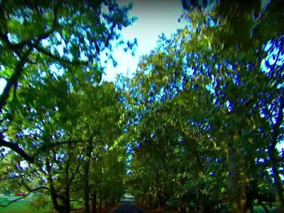 Tiger Woods PGA TOUR 12: The Masters Trailer