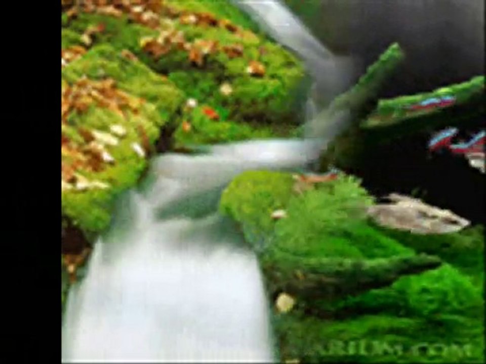 AYŞE ÖZDEMİR  MUHTACIM