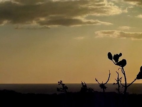 Coucher de soleil en face de Tamarindo / Costa Rica