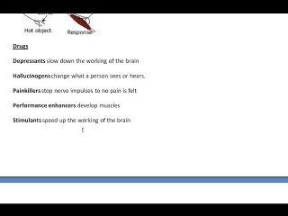 Biology B1 part 2 of 2