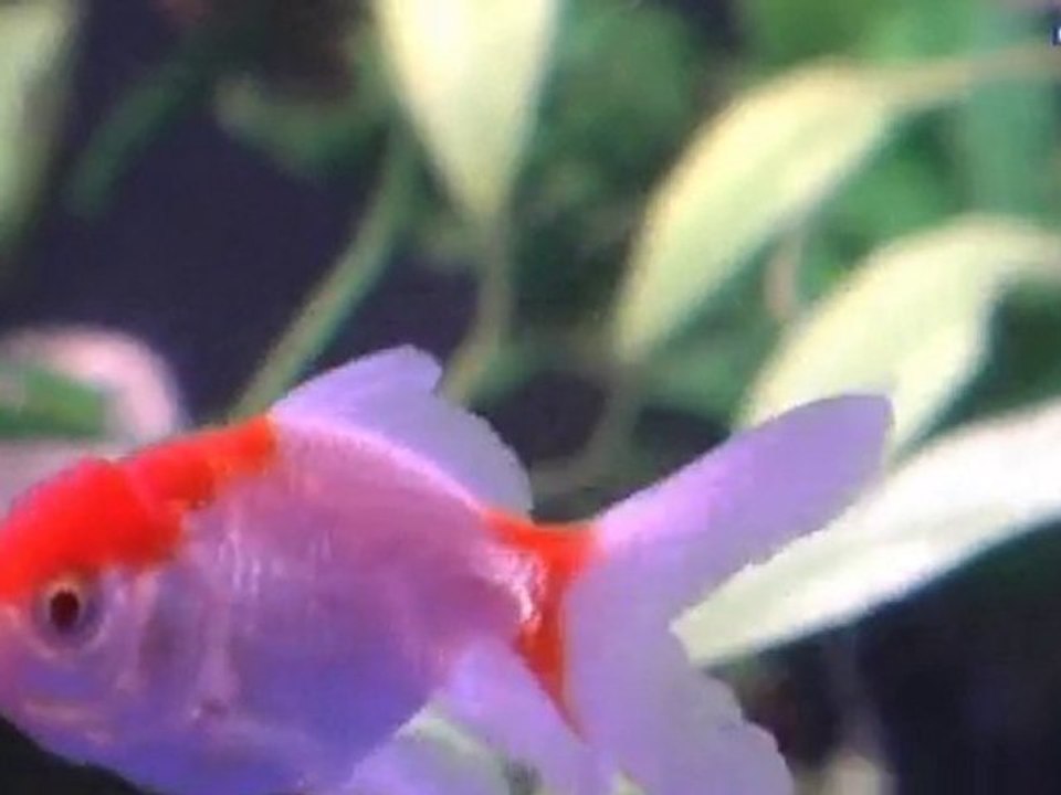 Akvarium Stockholms Län Åkersberga Åkersberga Zoo