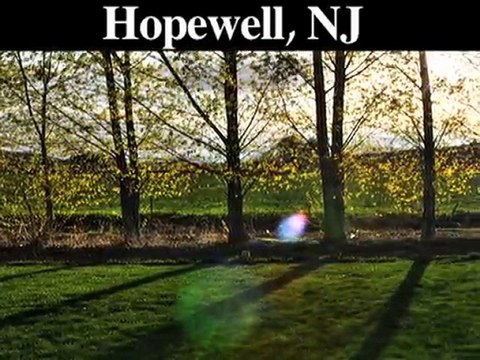 Tree Trimming-Pruning Service | Hopewell, NJ