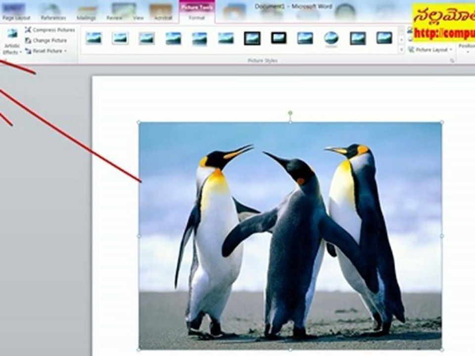 Background Removal Tool in Office 2010