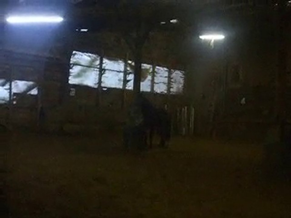 cheval qui se defoule