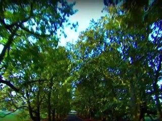 Tiger Woods PGA Tour 12 The Masters : Announcement Trailer