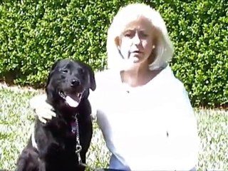 Care First Animal Hospital – Testimonials 2