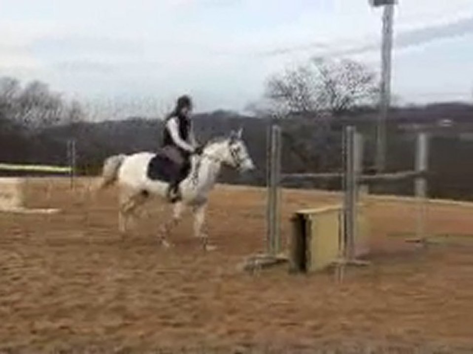 Paladin obstacle 2