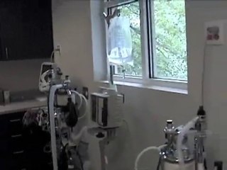 Care First Animal Hospital – Testimonials 4