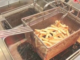 Nine Quick Food Facts : Why are french fries considered so unhealthy?