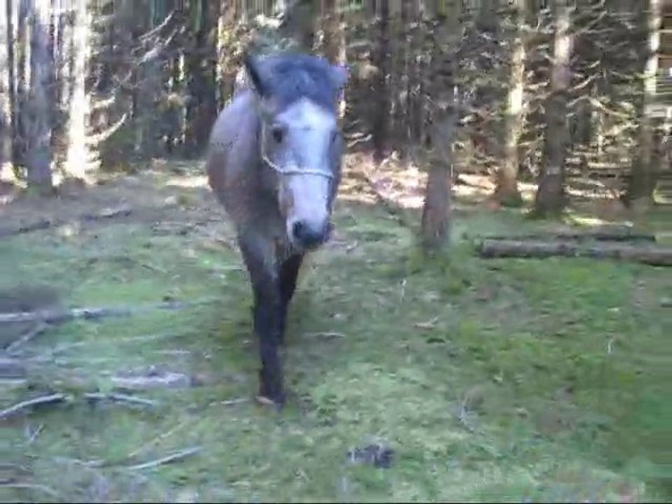 SansTitre