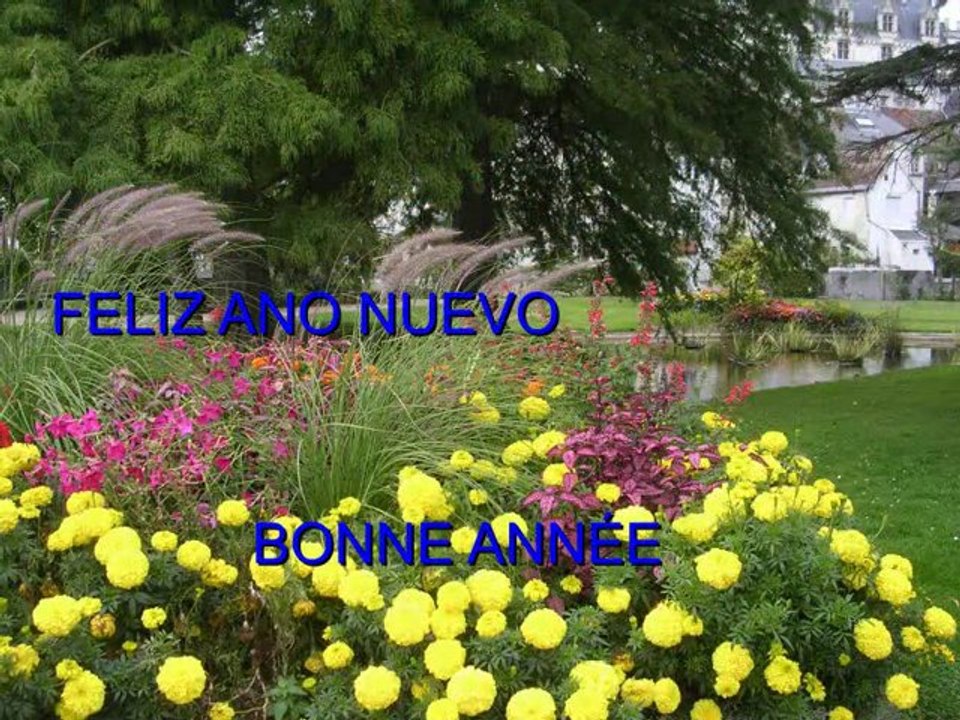BONNE ANNÉE 2011