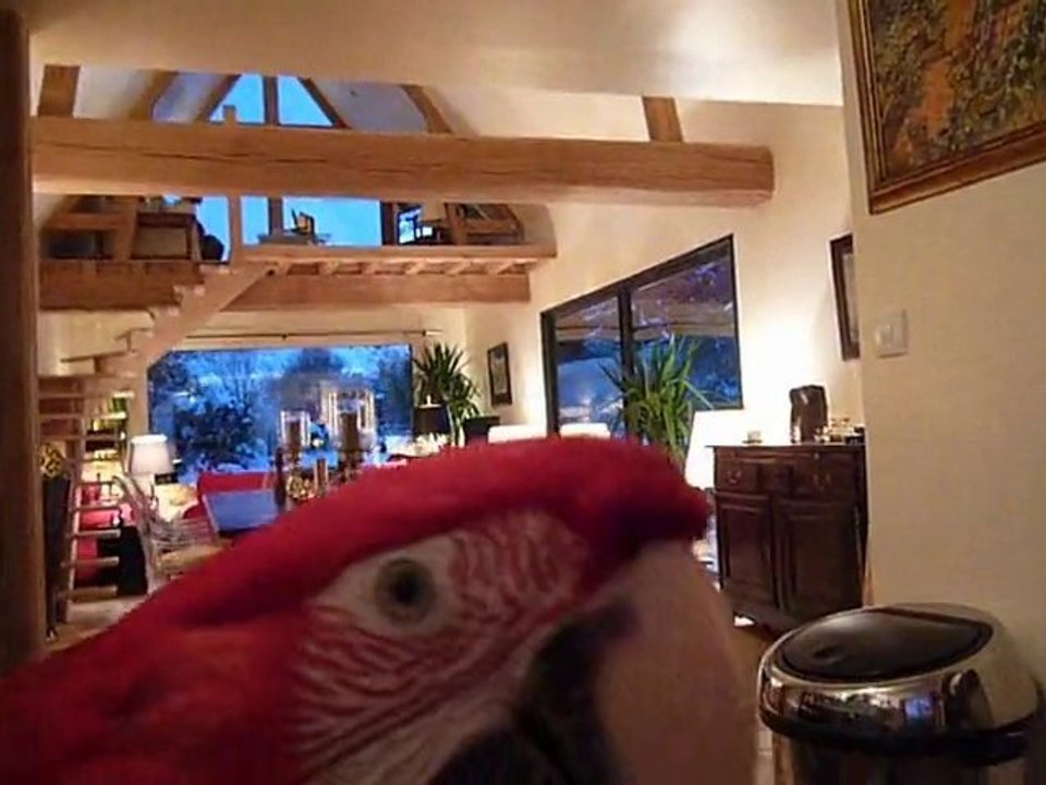 Gaby vole dans la maison