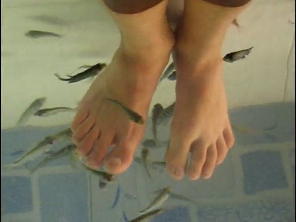 fish massage