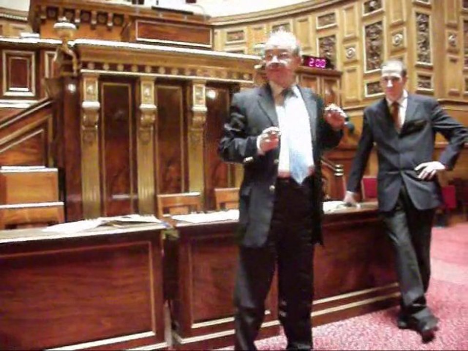senat dec 2010