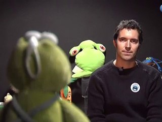 PRES'TV: PELUCHOLOGIE - LA CLASSIFICATION DES ESPÈCES