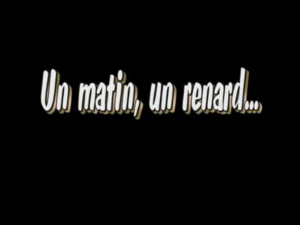 Renard Du Matin