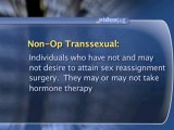 Transgender: What Does It Mean? : What does 'transsexual' mean?