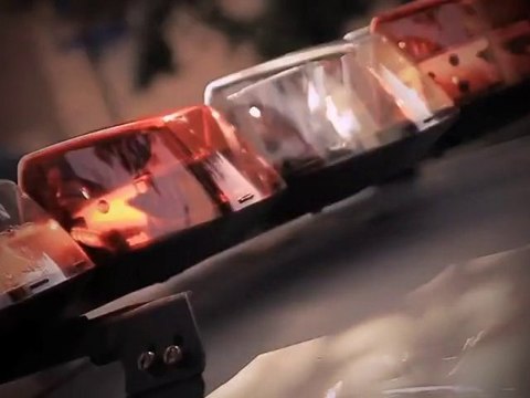 Charles Bradley - The World (Is Going Up In Flames)