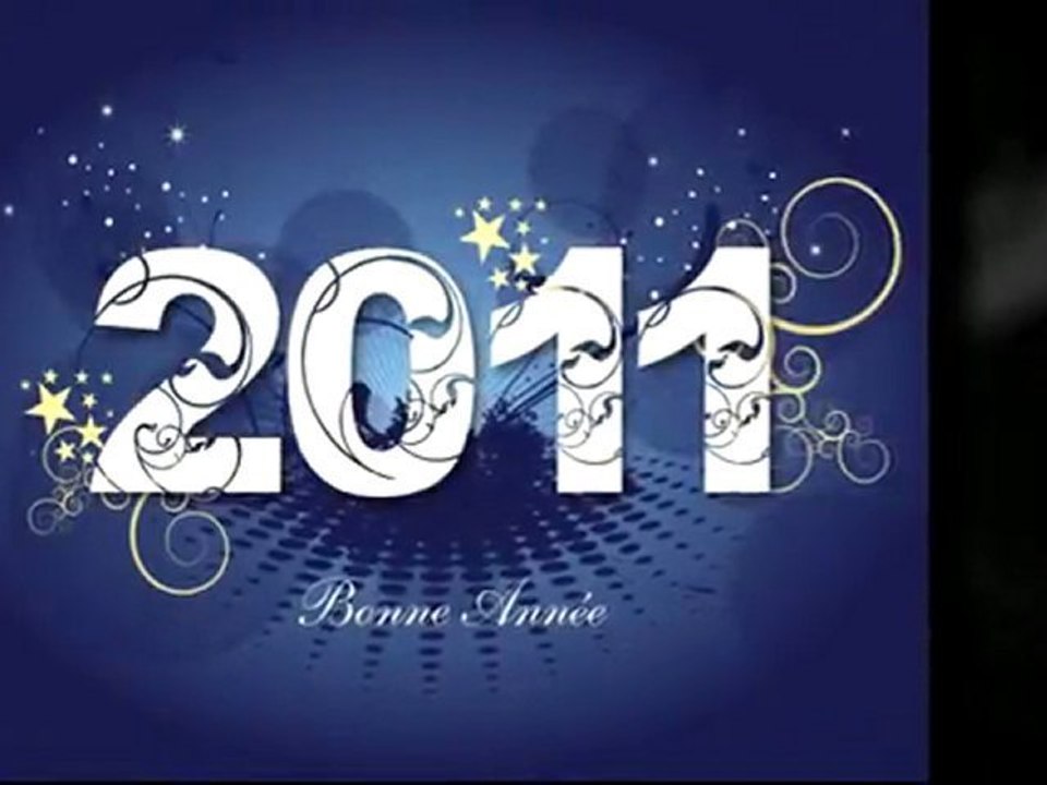 bonne année 2011 !