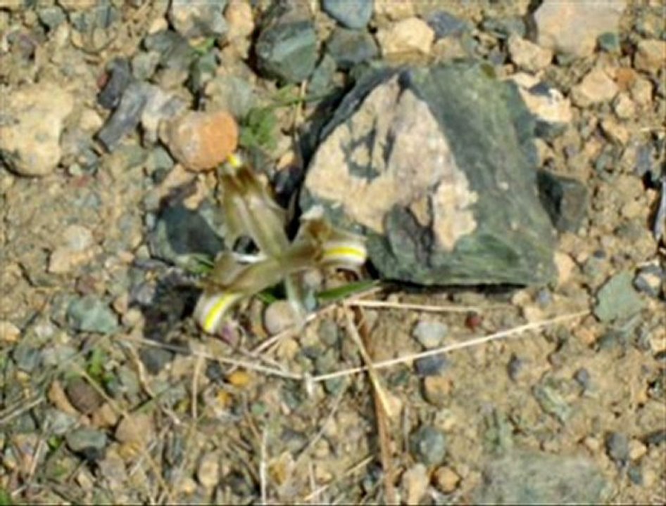 BEYAĞIL VE YÖRESİ RESİMLERİ-8--İRFAN VURAL