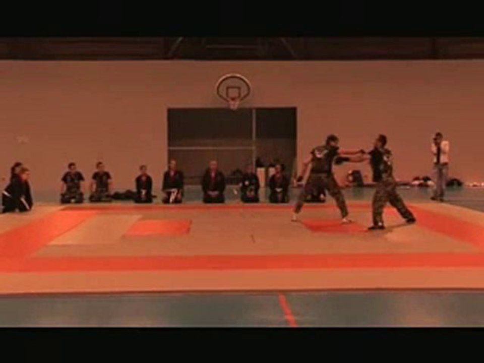 Aigle Hapkido Démonstration à Drusenheim