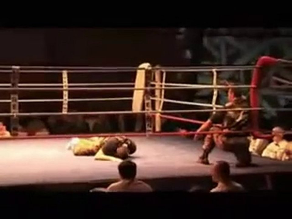 Aigle Hapkido Démonstration gala international boxe 2008