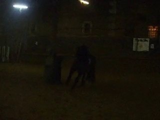 cheval espagnole
