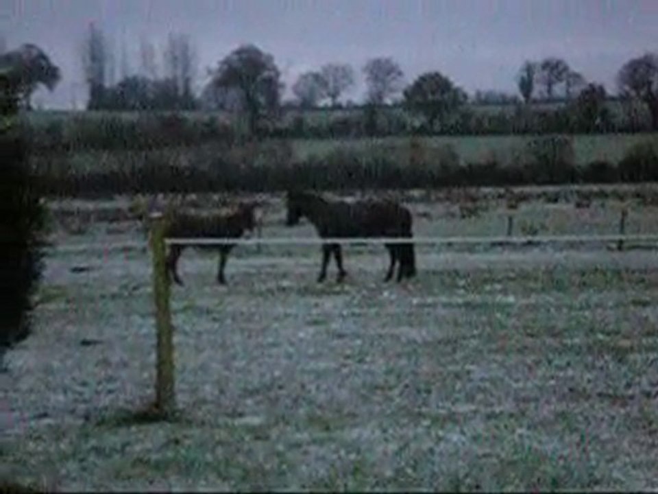 petit matin enneigé