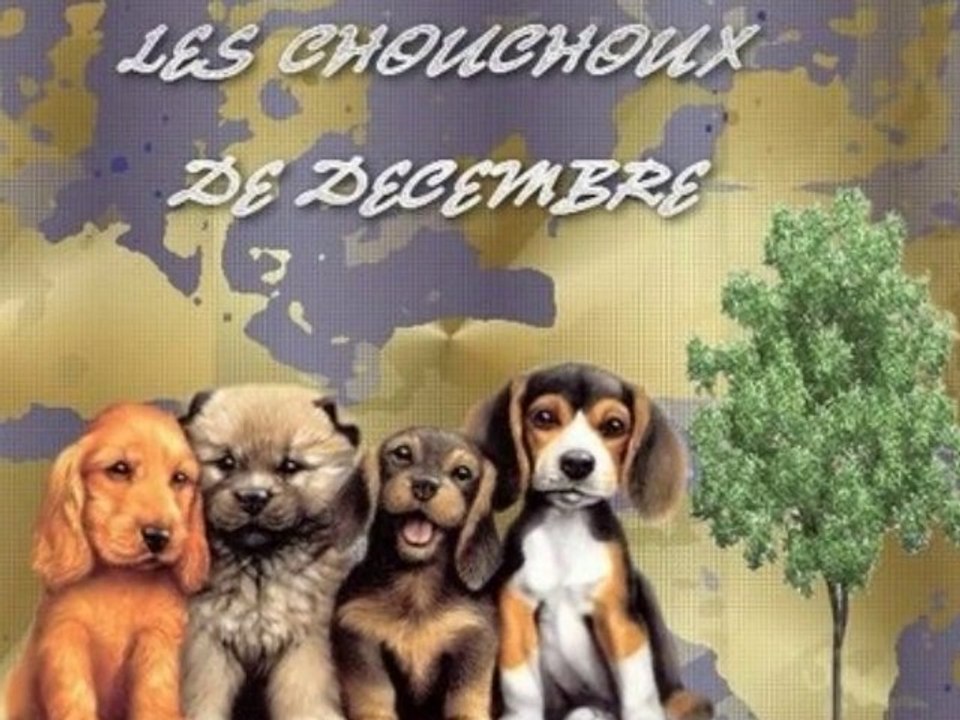 les chouchoux de DECEMBRE 2010