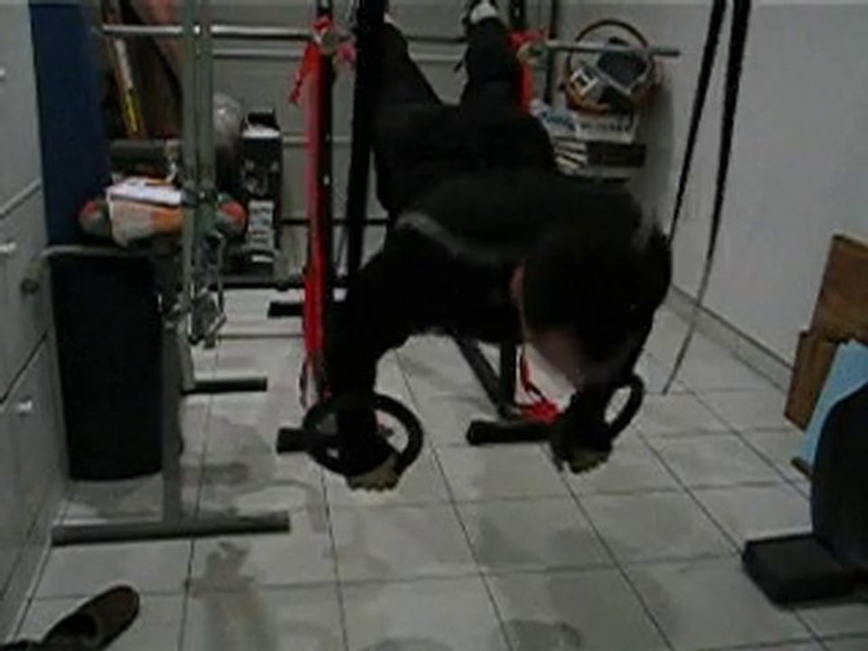 A12 décliné sur anneaux