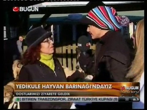 BUGÜN TV- Yedikule Hayvan Barınagı