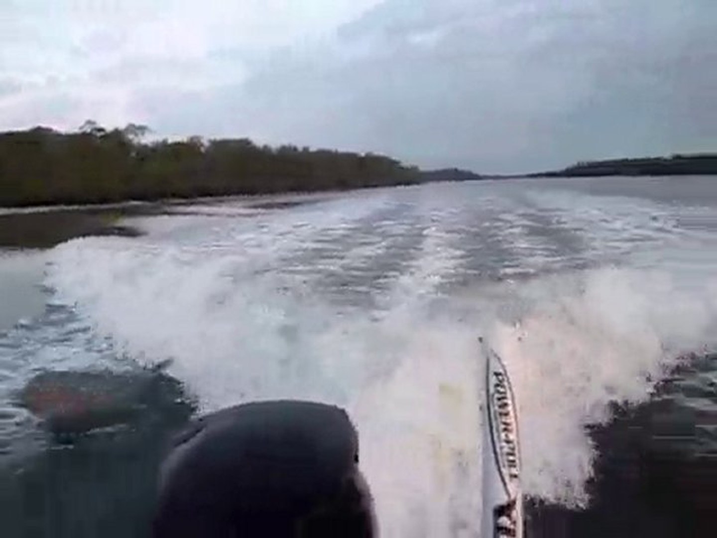 ⁣Dolphins frolic in boat's Wake
