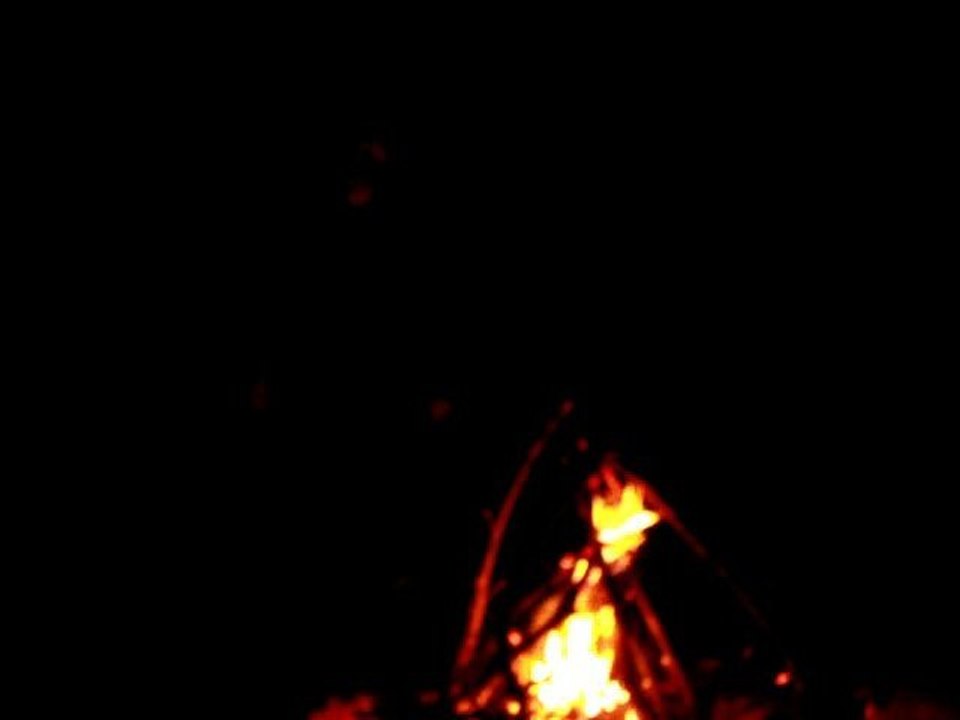 Ingrid... suite de l'oiseau fou...