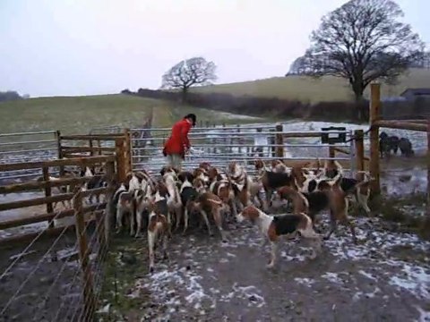 Le passage des parcs à moutons HUNTING VALE OF LUNE