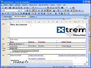 Tutoriels Crystal Reports : Compter les enregistrements