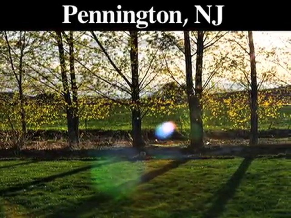 Tree Stump Removal | Stump Grinding | Pennington, NJ