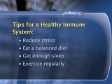 How To Keep Your Immune System Strong And Resistent To Sexually Transmitted Diseases : How can I keep my immune system strong?