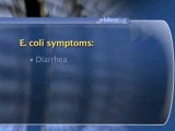 Diagnosing Foodborne Illnesses : What are the symptoms of E-coli bacteria?