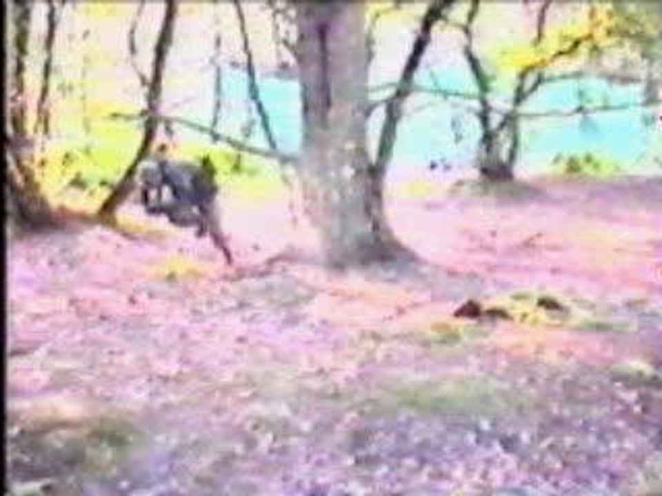 paintball