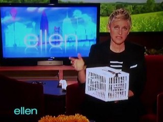 Pitchmen's Fridge Locker On Ellen