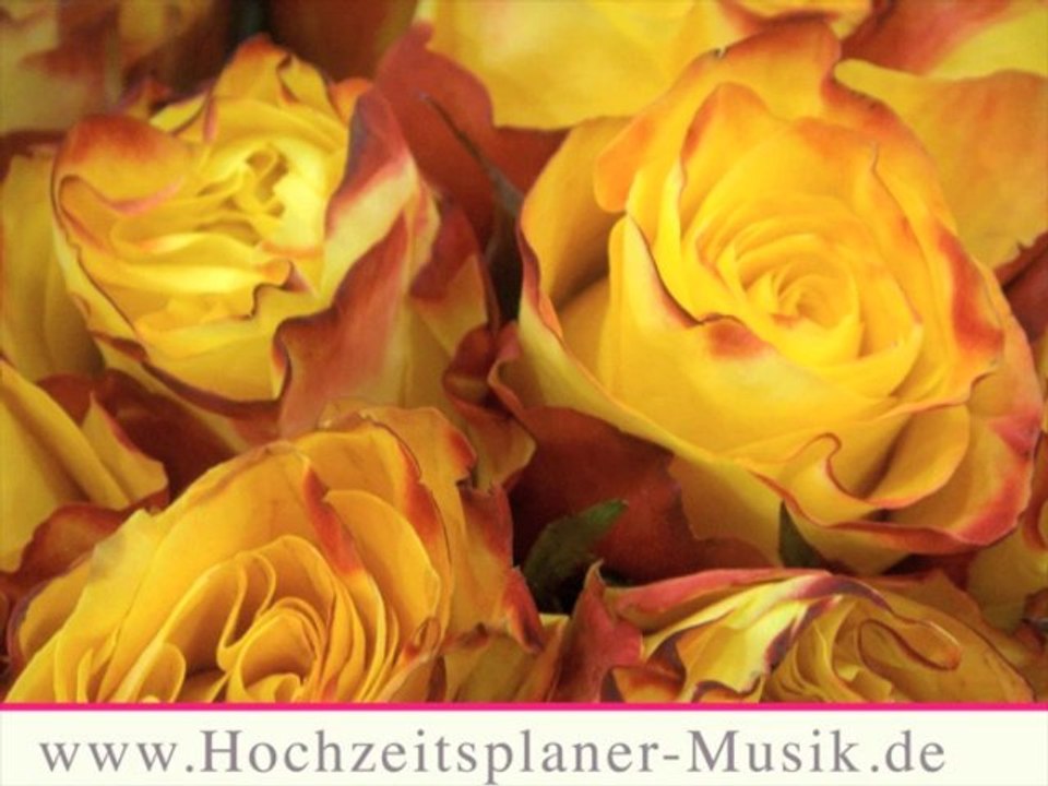 Hochzeitsplaner