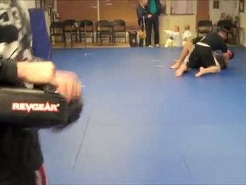 PMMA PROFESSIONAL REVIEW: REVGEAR MINI THAI PADS