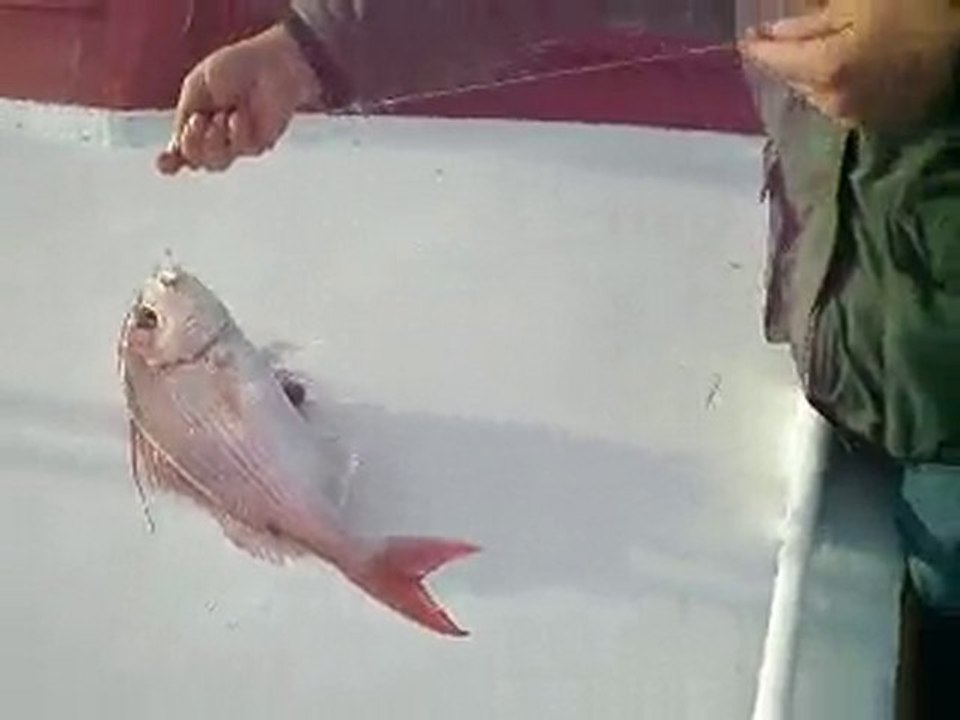 kuşadası balık turu yasmin teknesi